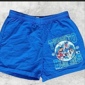 Vtg 1993 Toronto Blue Jays Looney Tunes Shorts XL Novel Teez MLB Made in Canada